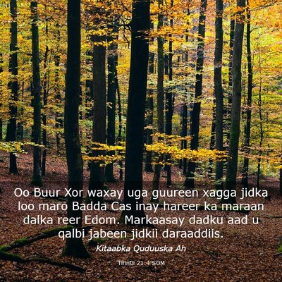 Picture 03 - Tirintii 21:4 SOM - Oo Buur Xor waxay uga guureen xagga jidka loo - Bible Verse Picture