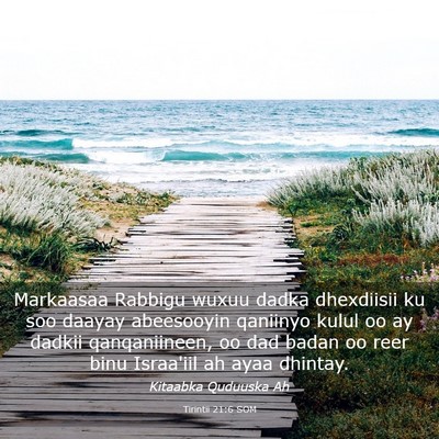 Picture 03 - Tirintii 21:6 SOM - Markaasaa Rabbigu wuxuu dadka dhexdiisii ku soo - Bible Verse Picture
