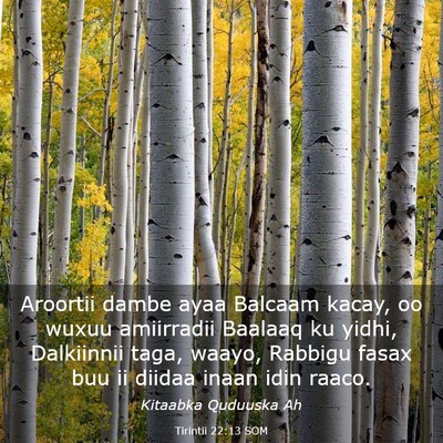 Picture 03 - Tirintii 22:13 SOM - Aroortii dambe ayaa Balcaam kacay, oo wuxuu - Bible Verse Picture