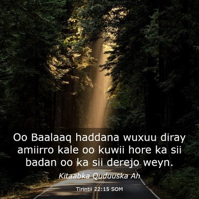 Picture 03 - Tirintii 22:15 SOM - Oo Baalaaq haddana wuxuu diray amiirro kale oo - Bible Verse Picture