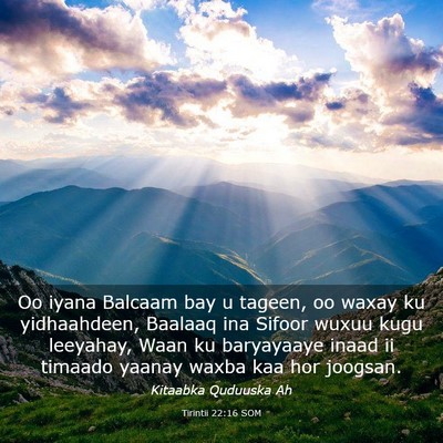 Picture 03 - Tirintii 22:16 SOM - Oo iyana Balcaam bay u tageen, oo waxay ku - Bible Verse Picture