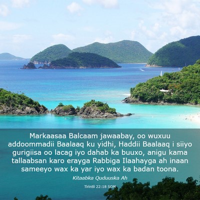 Picture 03 - Tirintii 22:18 SOM - Markaasaa Balcaam jawaabay, oo wuxuu addoommadii - Bible Verse Picture