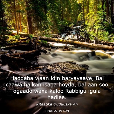 Picture 03 - Tirintii 22:19 SOM - Haddaba waan idin baryayaaye, Bal caawa halkan - Bible Verse Picture