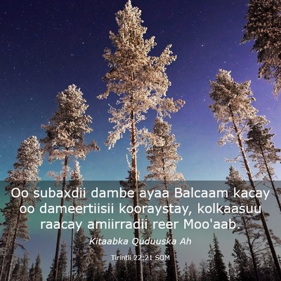 Picture 03 - Tirintii 22:21 SOM - Oo subaxdii dambe ayaa Balcaam kacay oo - Bible Verse Picture