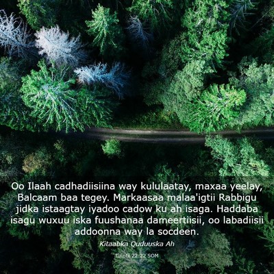 Picture 03 - Tirintii 22:22 SOM - Oo Ilaah cadhadiisiina way kululaatay, maxaa - Bible Verse Picture