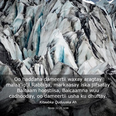 Picture 03 - Tirintii 22:27 SOM - Oo haddana dameertii waxay aragtay malaa'igtii - Bible Verse Picture