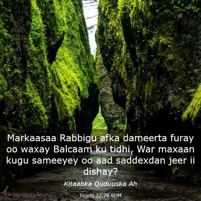 Picture 03 - Tirintii 22:28 SOM - Markaasaa Rabbigu afka dameerta furay oo waxay - Bible Verse Picture
