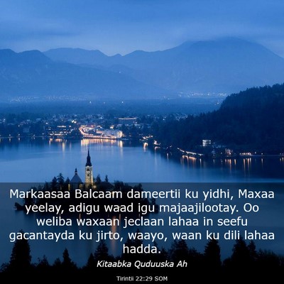 Picture 03 - Tirintii 22:29 SOM - Markaasaa Balcaam dameertii ku yidhi, Maxaa - Bible Verse Picture