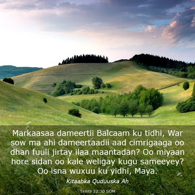 Picture 03 - Tirintii 22:30 SOM - Markaasaa dameertii Balcaam ku tidhi, War sow ma - Bible Verse Picture