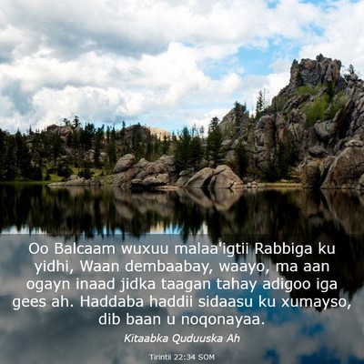 Picture 03 - Tirintii 22:34 SOM - Oo Balcaam wuxuu malaa'igtii Rabbiga ku yidhi, - Bible Verse Picture