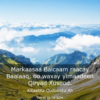 Picture 03 - Tirintii 22:39 SOM - Markaasaa Balcaam raacay Baalaaq, oo waxay - Bible Verse Picture