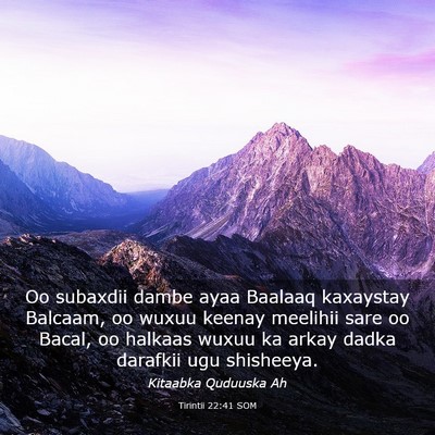 Picture 03 - Tirintii 22:41 SOM - Oo subaxdii dambe ayaa Baalaaq kaxaystay Balcaam, - Bible Verse Picture