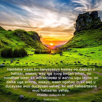 Picture 03 - Tirintii 22:6 SOM - Haddaba waan ku baryayaaye kaalay oo dadkan ii - Bible Verse Picture