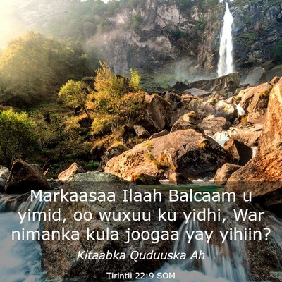 Picture 03 - Tirintii 22:9 SOM - Markaasaa Ilaah Balcaam u yimid, oo wuxuu ku - Bible Verse Picture