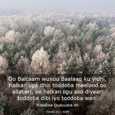 Picture 03 - Tirintii 23:1 SOM - Oo Balcaam wuxuu Baalaaq ku yidhi, Halkan iiga - Bible Verse Picture