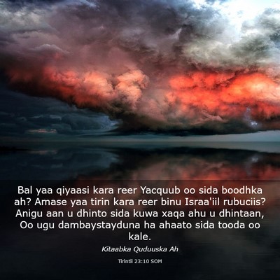 Picture 03 - Tirintii 23:10 SOM - Bal yaa qiyaasi kara reer Yacquub oo sida boodhka - Bible Verse Picture