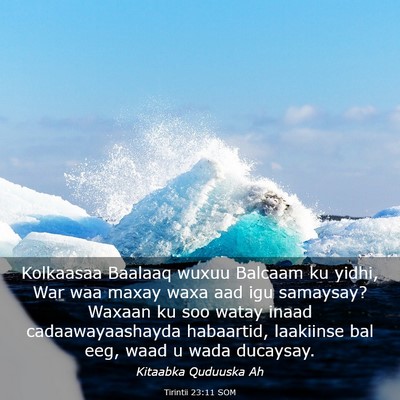 Picture 03 - Tirintii 23:11 SOM - Kolkaasaa Baalaaq wuxuu Balcaam ku yidhi, War waa - Bible Verse Picture