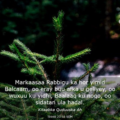 Picture 03 - Tirintii 23:16 SOM - Markaasaa Rabbigu ka hor yimid Balcaam, oo eray - Bible Verse Picture
