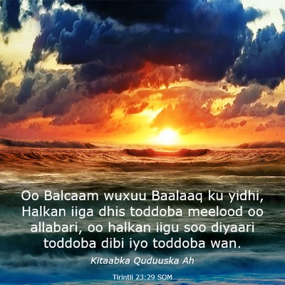Picture 03 - Tirintii 23:29 SOM - Oo Balcaam wuxuu Baalaaq ku yidhi, Halkan iiga - Bible Verse Picture