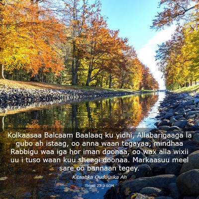 Picture 03 - Tirintii 23:3 SOM - Kolkaasaa Balcaam Baalaaq ku yidhi, Allabarigaaga - Bible Verse Picture