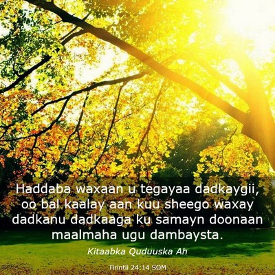 Picture 03 - Tirintii 24:14 SOM - Haddaba waxaan u tegayaa dadkaygii, oo bal kaalay - Bible Verse Picture