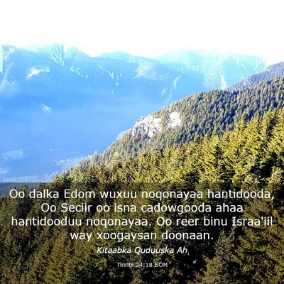 Picture 03 - Tirintii 24:18 SOM - Oo dalka Edom wuxuu noqonayaa hantidooda, Oo - Bible Verse Picture