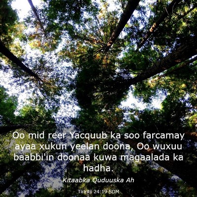 Picture 03 - Tirintii 24:19 SOM - Oo mid reer Yacquub ka soo farcamay ayaa xukun - Bible Verse Picture