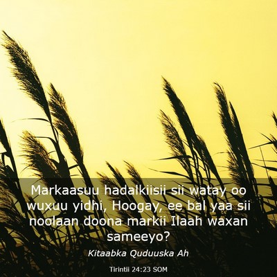Picture 03 - Tirintii 24:23 SOM - Markaasuu hadalkiisii sii watay oo wuxuu yidhi, - Bible Verse Picture