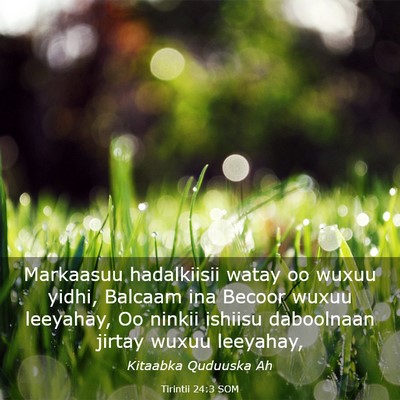 Picture 03 - Tirintii 24:3 SOM - Markaasuu hadalkiisii watay oo wuxuu yidhi, - Bible Verse Picture