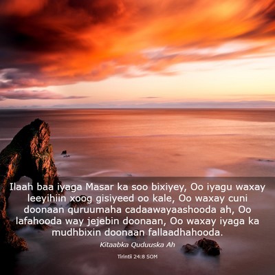 Picture 03 - Tirintii 24:8 SOM - Ilaah baa iyaga Masar ka soo bixiyey, Oo iyagu - Bible Verse Picture