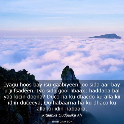 Picture 03 - Tirintii 24:9 SOM - Iyagu hoos bay isu gaabiyeen, oo sida aar bay u - Bible Verse Picture
