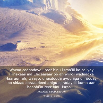 Picture 03 - Tirintii 25:11 SOM - Waxaa cadhadaydii reer binu Israa'iil ka celiyey - Bible Verse Picture