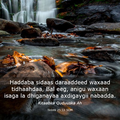 Picture 03 - Tirintii 25:12 SOM - Haddaba sidaas daraaddeed waxaad tidhaahdaa, Bal - Bible Verse Picture