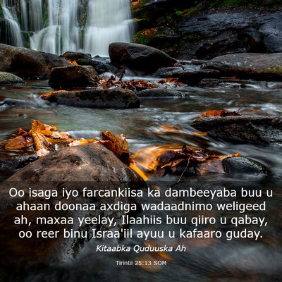 Picture 03 - Tirintii 25:13 SOM - Oo isaga iyo farcankiisa ka dambeeyaba buu u - Bible Verse Picture