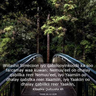 Picture 03 - Tirintii 26:12 SOM - Wiilashii Simecoon iyo qabiilooyinkoodii ka soo - Bible Verse Picture