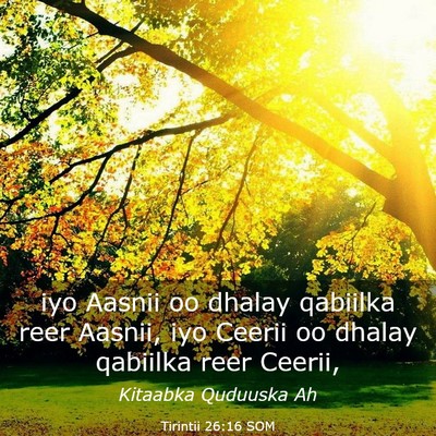 Picture 03 - Tirintii 26:16 SOM - iyo Aasnii oo dhalay qabiilka reer Aasnii, iyo - Bible Verse Picture