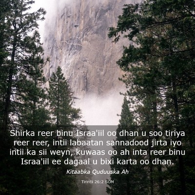 Picture 03 - Tirintii 26:2 SOM - Shirka reer binu Israa'iil oo dhan u soo tiriya - Bible Verse Picture