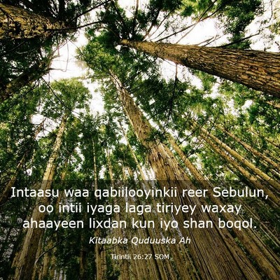 Picture 03 - Tirintii 26:27 SOM - Intaasu waa qabiilooyinkii reer Sebulun, oo intii - Bible Verse Picture