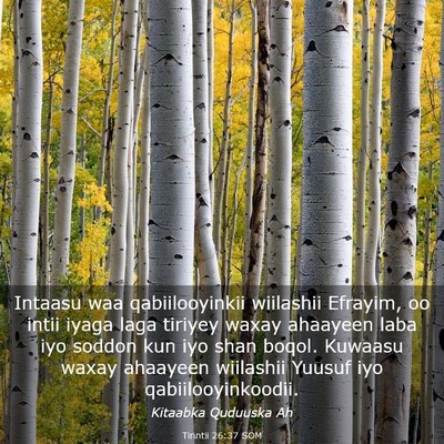 Picture 03 - Tirintii 26:37 SOM - Intaasu waa qabiilooyinkii wiilashii Efrayim, oo - Bible Verse Picture