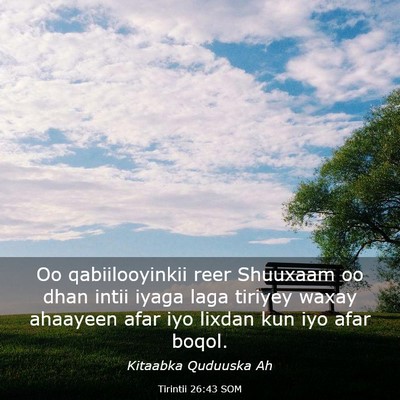 Picture 03 - Tirintii 26:43 SOM - Oo qabiilooyinkii reer Shuuxaam oo dhan intii - Bible Verse Picture