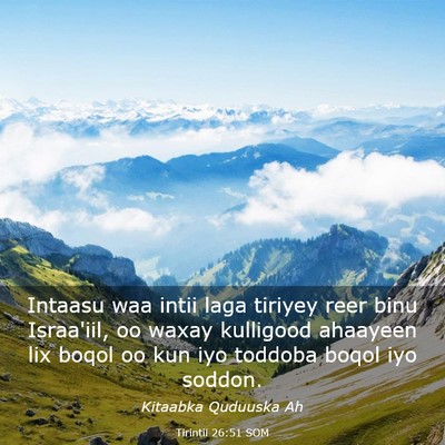 Picture 03 - Tirintii 26:51 SOM - Intaasu waa intii laga tiriyey reer binu - Bible Verse Picture