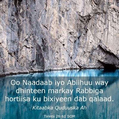Picture 03 - Tirintii 26:61 SOM - Oo Naadaab iyo Abiihuu way dhinteen markay - Bible Verse Picture