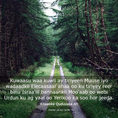 Picture 03 - Tirintii 26:63 SOM - Kuwaasu waa kuwii ay tiriyeen Muuse iyo wadaadkii - Bible Verse Picture