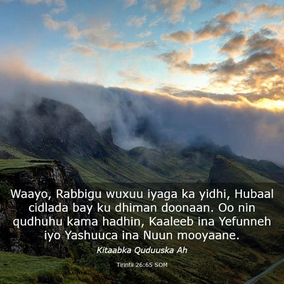 Picture 03 - Tirintii 26:65 SOM - Waayo, Rabbigu wuxuu iyaga ka yidhi, Hubaal - Bible Verse Picture
