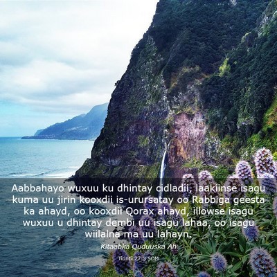 Picture 03 - Tirintii 27:3 SOM - Aabbahayo wuxuu ku dhintay cidladii, laakiinse - Bible Verse Picture
