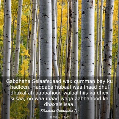 Picture 03 - Tirintii 27:7 SOM - Gabdhaha Selaafexaad wax qumman bay ku hadleen. - Bible Verse Picture