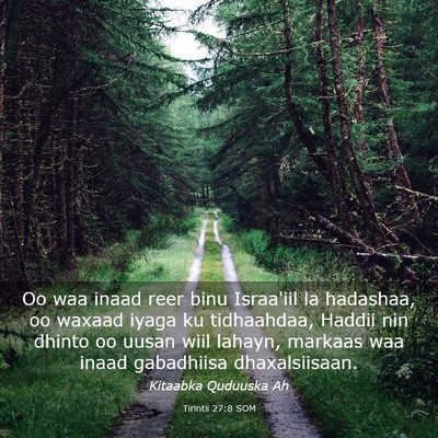 Picture 03 - Tirintii 27:8 SOM - Oo waa inaad reer binu Israa'iil la hadashaa, oo - Bible Verse Picture
