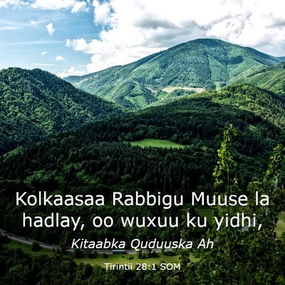 Picture 03 - Tirintii 28:1 SOM - Kolkaasaa Rabbigu Muuse la hadlay, oo wuxuu ku - Bible Verse Picture