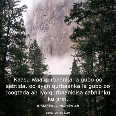 Picture 03 - Tirintii 28:10 SOM - Kaasu waa qurbaanka la gubo oo sabtida, oo ayan - Bible Verse Picture