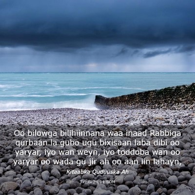 Picture 03 - Tirintii 28:11 SOM - Oo bilowga bilihiinnana waa inaad Rabbiga qurbaan - Bible Verse Picture